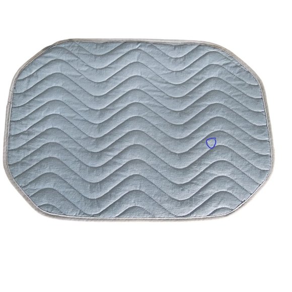 Dining Reversible Blue Vinyl Placemats Set Of 6 Poshmark